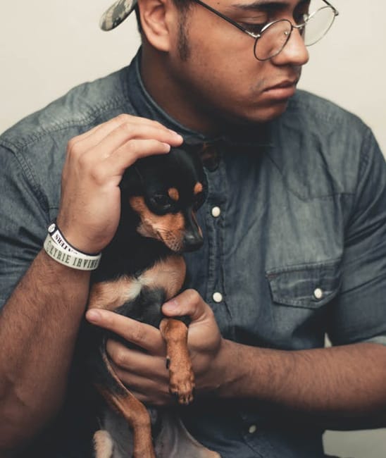 dog-owner02-1-1.jpg