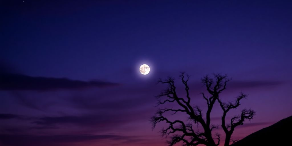 Twilight sky with Venus shining bright above silhouettes.