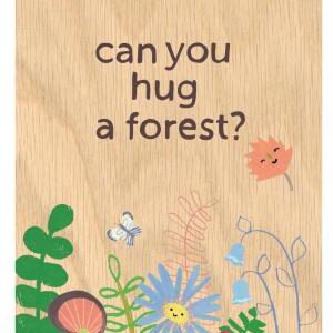 Can You Hug a Forest?