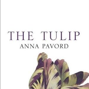 The Tulip: The Story of a Flower That Has Made Men Mad