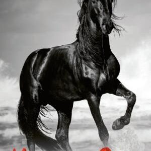 Horse of Fire: and other stories from around the world