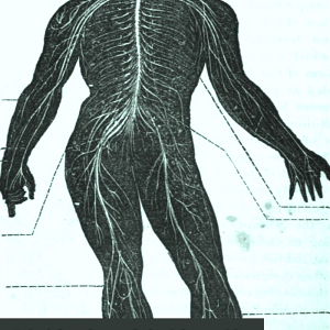 Principles of Mental Physiology: With Their Applications to the Training and Discipline of the Mind, and the Study of Its Morbid Conditions