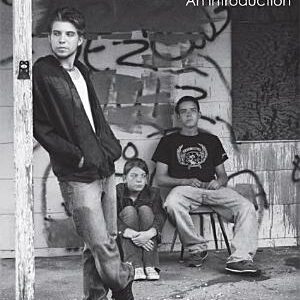 Youth Studies: An Introduction