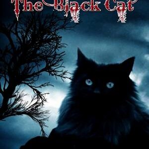 The Black Cat