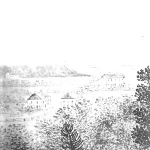 John Adams