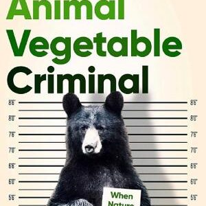 Animal Vegetable Criminal: When Nature Breaks the Law