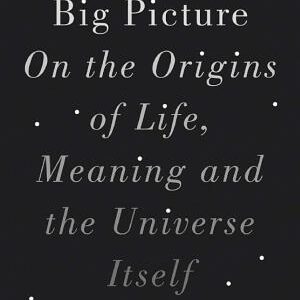 The Big Picture: On the Origins of Life, Meaning, and the Universe Itself