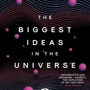 The Biggest Ideas in the Universe 2: Quanta and Fields