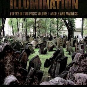 Dark Illumination: Poetry in Two Parts Volume I: Angels and Madness