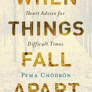 When Things Fall Apart: Heart Advice for Difficult Times