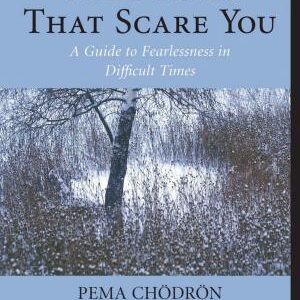 The Places That Scare You: A Guide to Fearlessness in Difficult Times