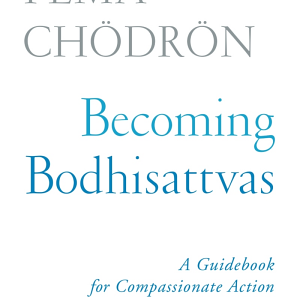 Becoming Bodhisattvas: A Guidebook for Compassionate Action