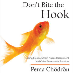 Don't Bite the Hook: Finding Freedom from Anger, Resentment, and Other Destructive Emotions