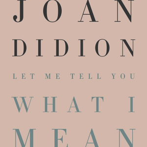 Let Me Tell You What I Mean: An Essay Collection