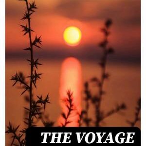 The Voyage of the Dawn Treader