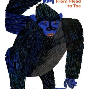 From Head to Toe Board Book