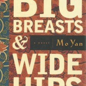 Big Breasts and Wide Hips: A Novel