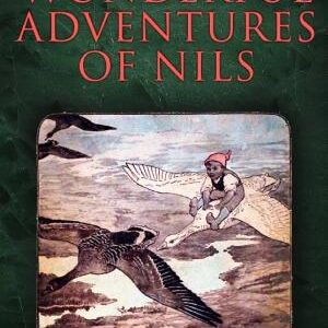 The Wonderful Adventures of Nils