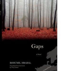 Gaps: A Novel