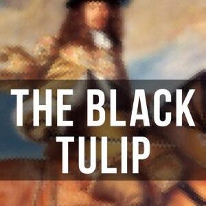 THE BLACK TULIP (Historical Novel)