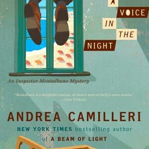 A Voice in the Night