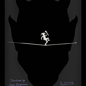 Tyll: A Novel