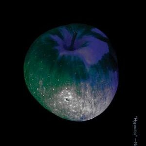 The Apple in the Dark