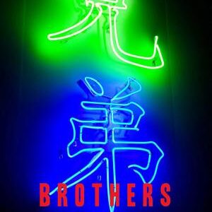 Brothers: A Novel