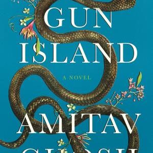 Gun Island