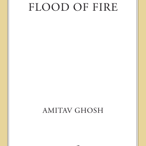 Flood of Fire: A Novel