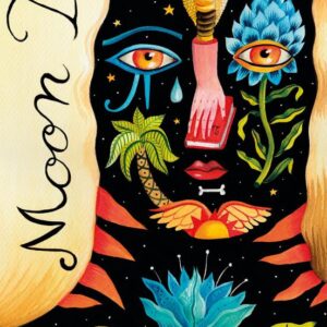 Moon Tiger (Re-Issue)