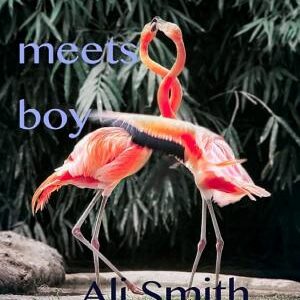 Girl Meets Boy