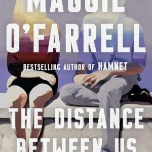 The Distance Between Us: A Novel