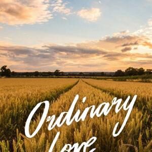 Ordinary Love