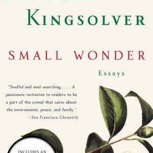 Small Wonder: Essays