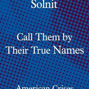 Call Them by Their True Names: American Crises (and Essays)