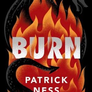 Burn