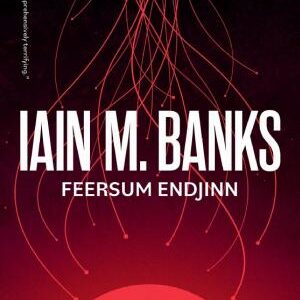 Feersum Endjinn