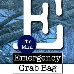 The Mini Emergency Grab Bag 1. 0