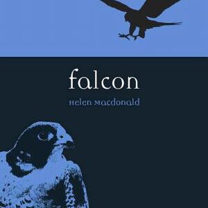 Falcon