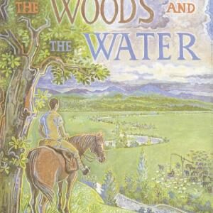 Between the Woods and the Water: On Foot to Constantinople from the Hook of Holland: The Middle Danube to the Iron Gates