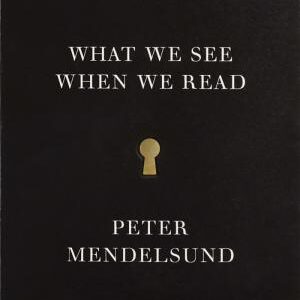 What We See When We Read