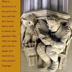 Theory of Literature