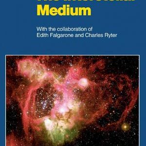 The Interstellar Medium