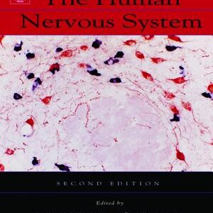 The Human Nervous System