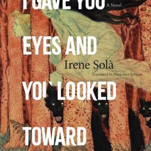 I Gave You Eyes and You Looked Toward Darkness: A Novel