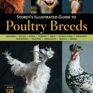 Storey's Illustrated Guide to Poultry Breeds: Chickens, Ducks, Geese, Turkeys, Emus, Guinea Fowl, Ostriches, Partridges, Peafowl, Pheasants, Quails, Swans