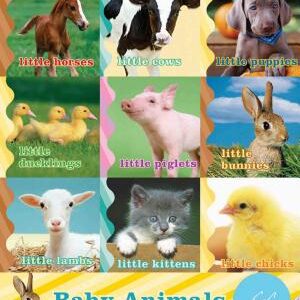 Baby Animals on the Farm