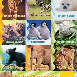 Baby Animals in the Wild