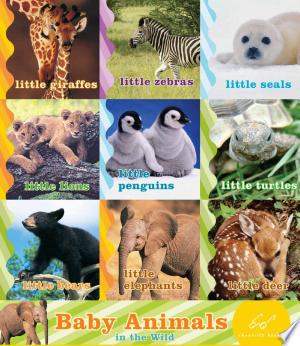 Baby Animals in the Wild